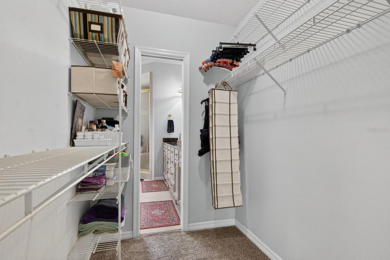 608 Vanderbaker Road, Temple Terrace, FL 33617 Photo