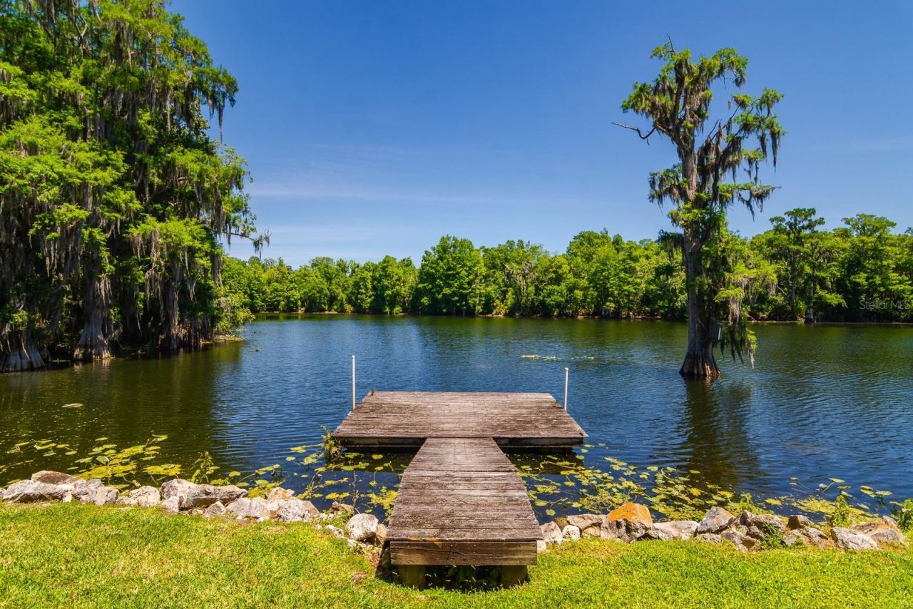 608 Vanderbaker Road, Temple Terrace, FL 33617 Photo