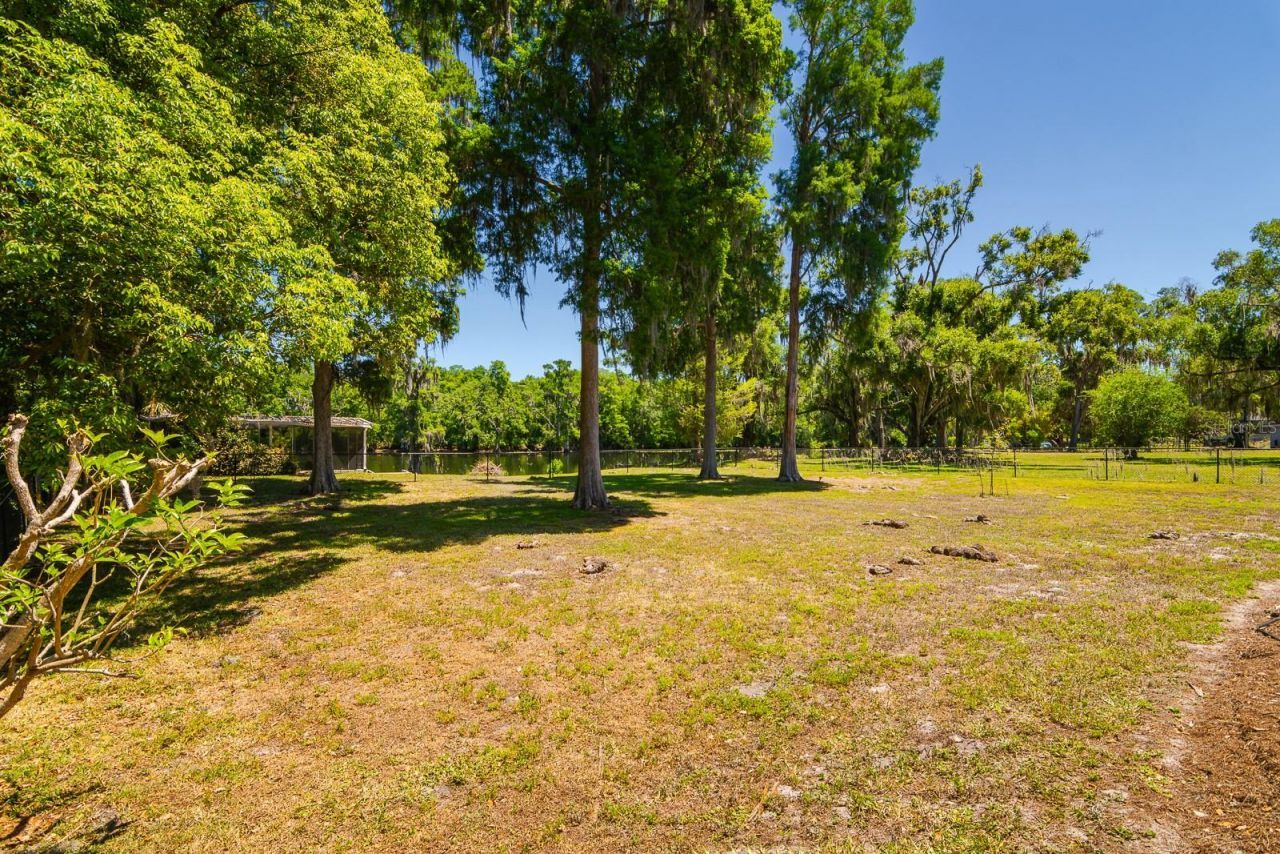 608 Vanderbaker Road, Temple Terrace, FL 33617 Photo