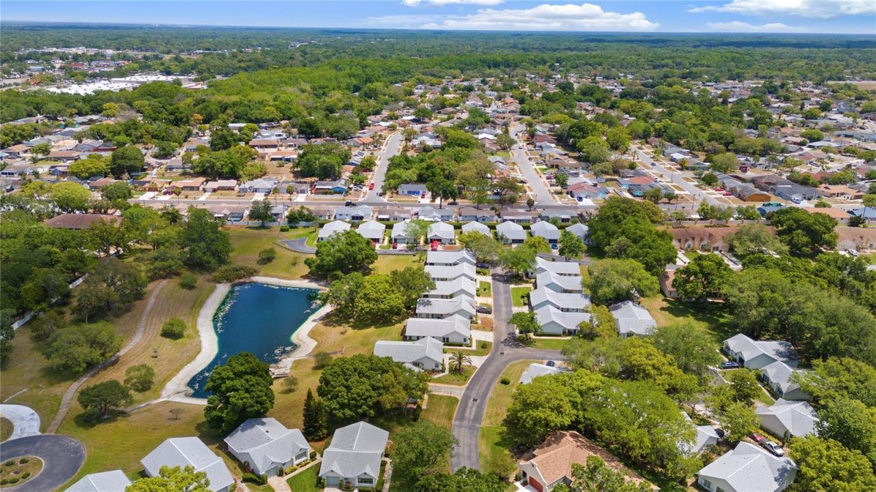 11611 Nature Trail , Port Richey, FL 34668 Photo