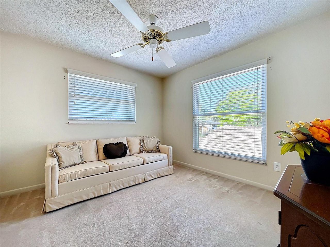 14711 Tall Tree Drive , Lutz, FL 33559 Photo