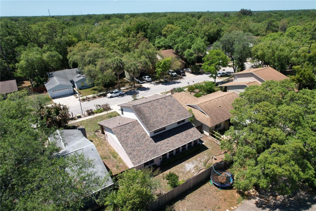 14711 Tall Tree Drive , Lutz, FL 33559 Photo