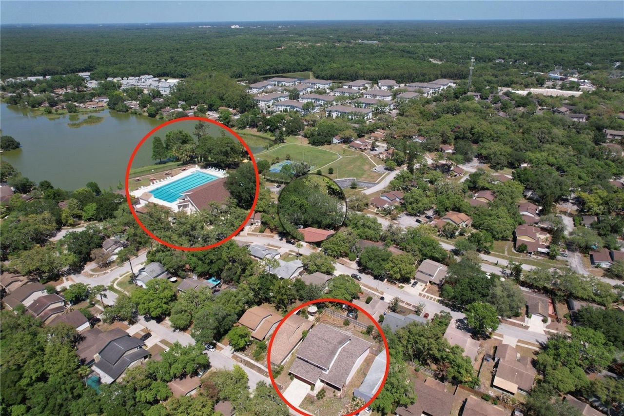 14711 Tall Tree Drive , Lutz, FL 33559 Photo
