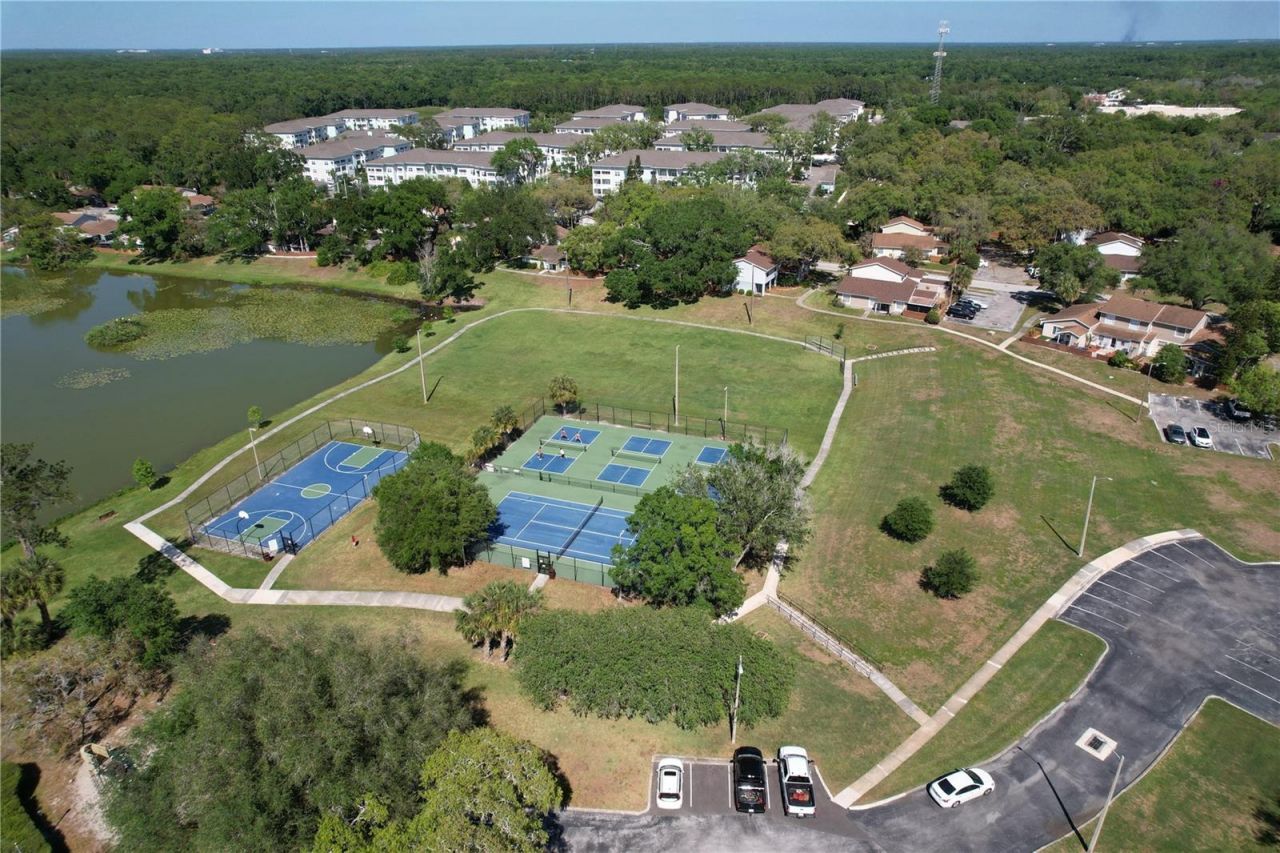 14711 Tall Tree Drive , Lutz, FL 33559 Photo