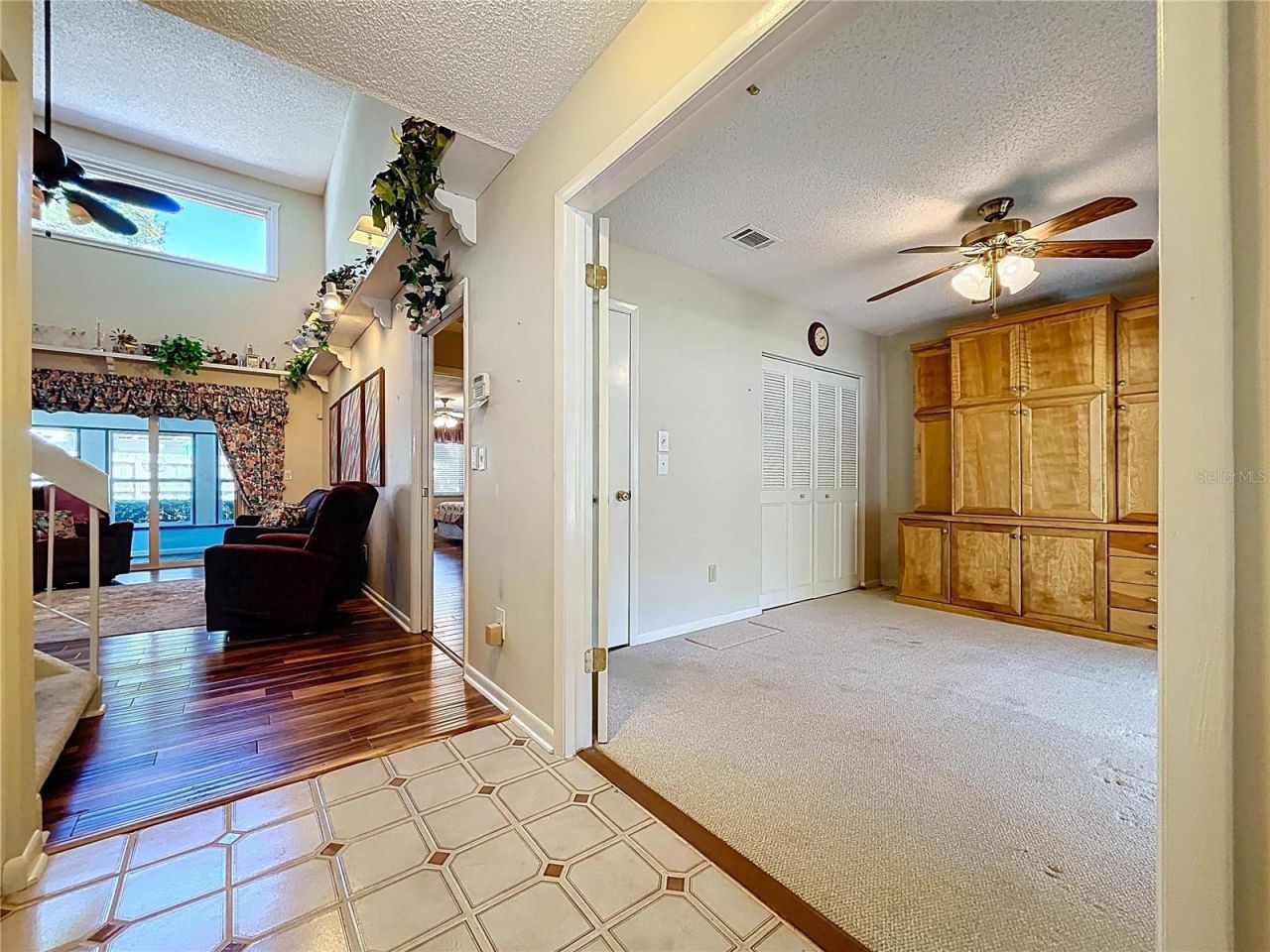 14711 Tall Tree Drive , Lutz, FL 33559 Photo