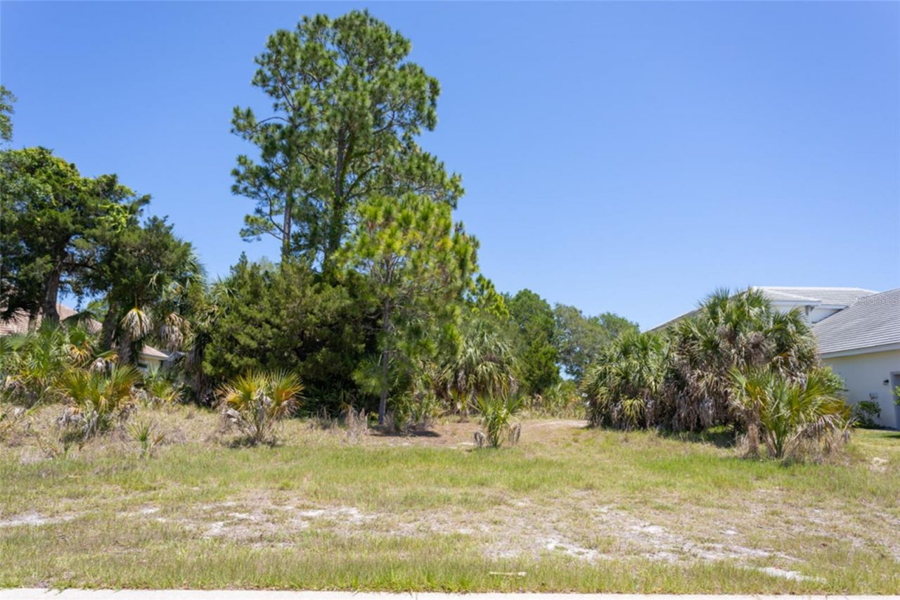 66 Old Oak Drive S, Palm Coast, FL 32137 Photo