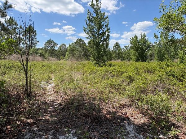 SAN JUAN AVE , Unit LOT 29, POLK CITY, FL 33868