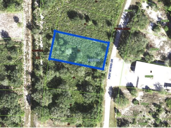 FORT MYERS DRIVE, INDIAN LAKE ESTATES, FL 33855