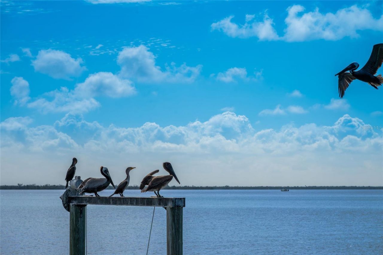 4130 Snail Island Court, Boca Grande, FL 33921 Photo