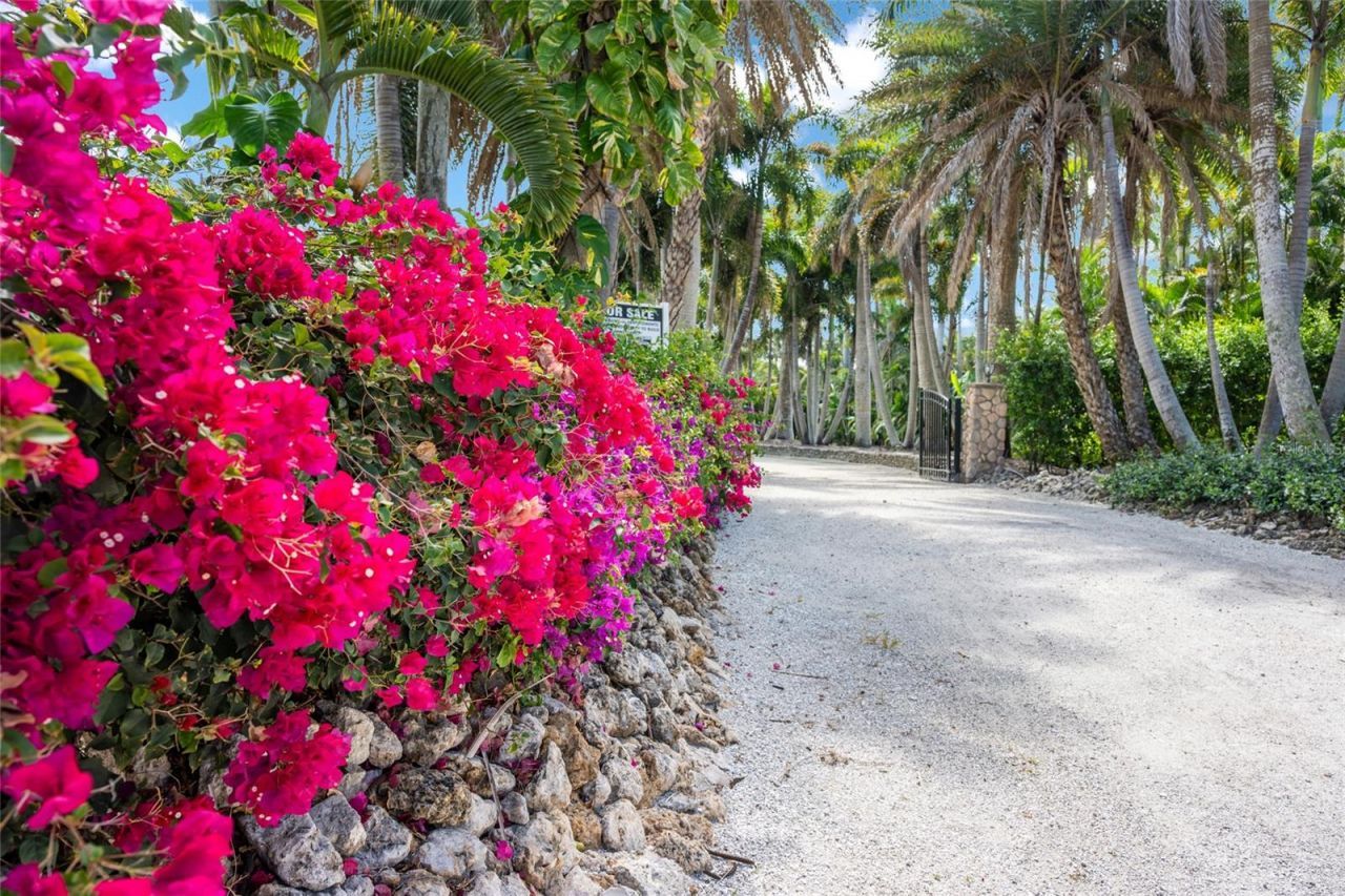 4130 Snail Island Court, Boca Grande, FL 33921 Photo