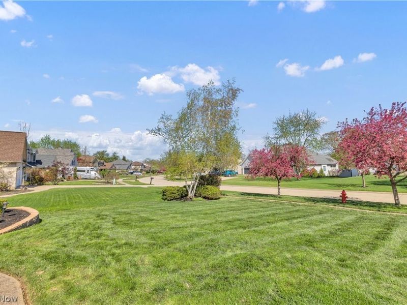 3719 Pheasants Walk , Brunswick, OH 44212 Photo 2