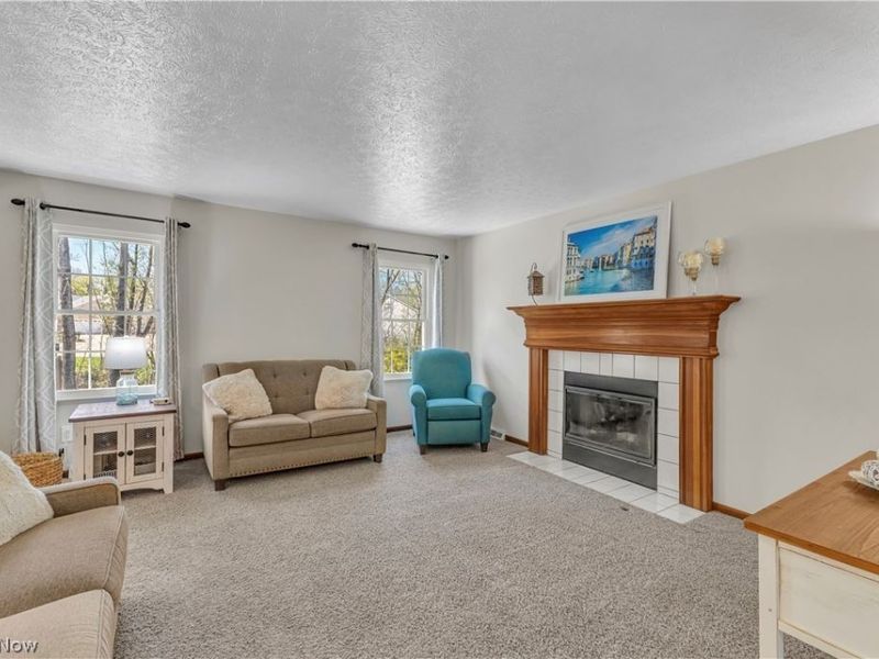 3719 Pheasants Walk , Brunswick, OH 44212 Photo 7