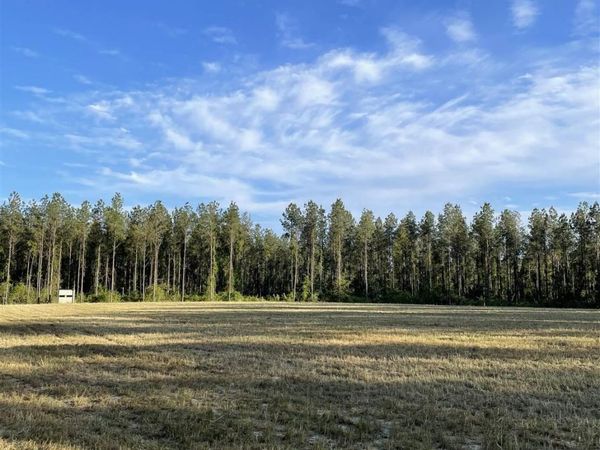 6950 Luth Rd, Molino, FL 32577