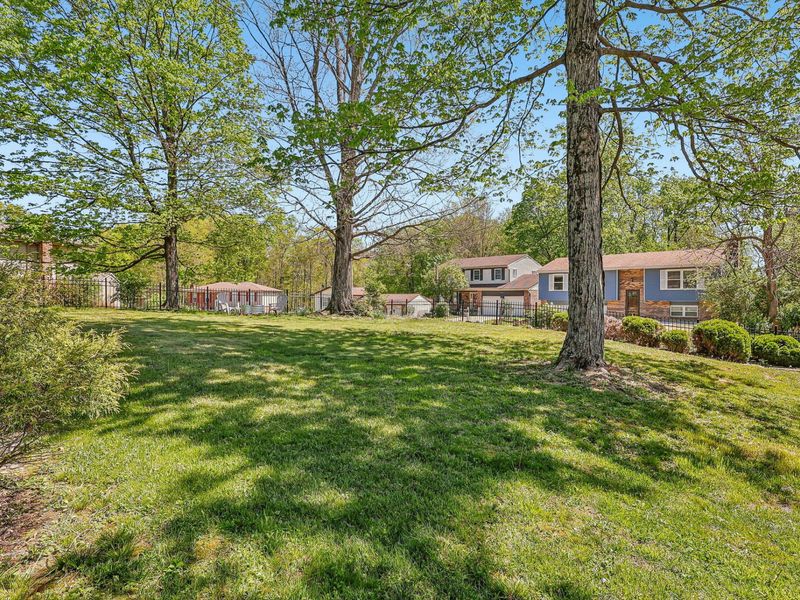 1130 Chestnut Court, Independence, KY 41051 Photo 38