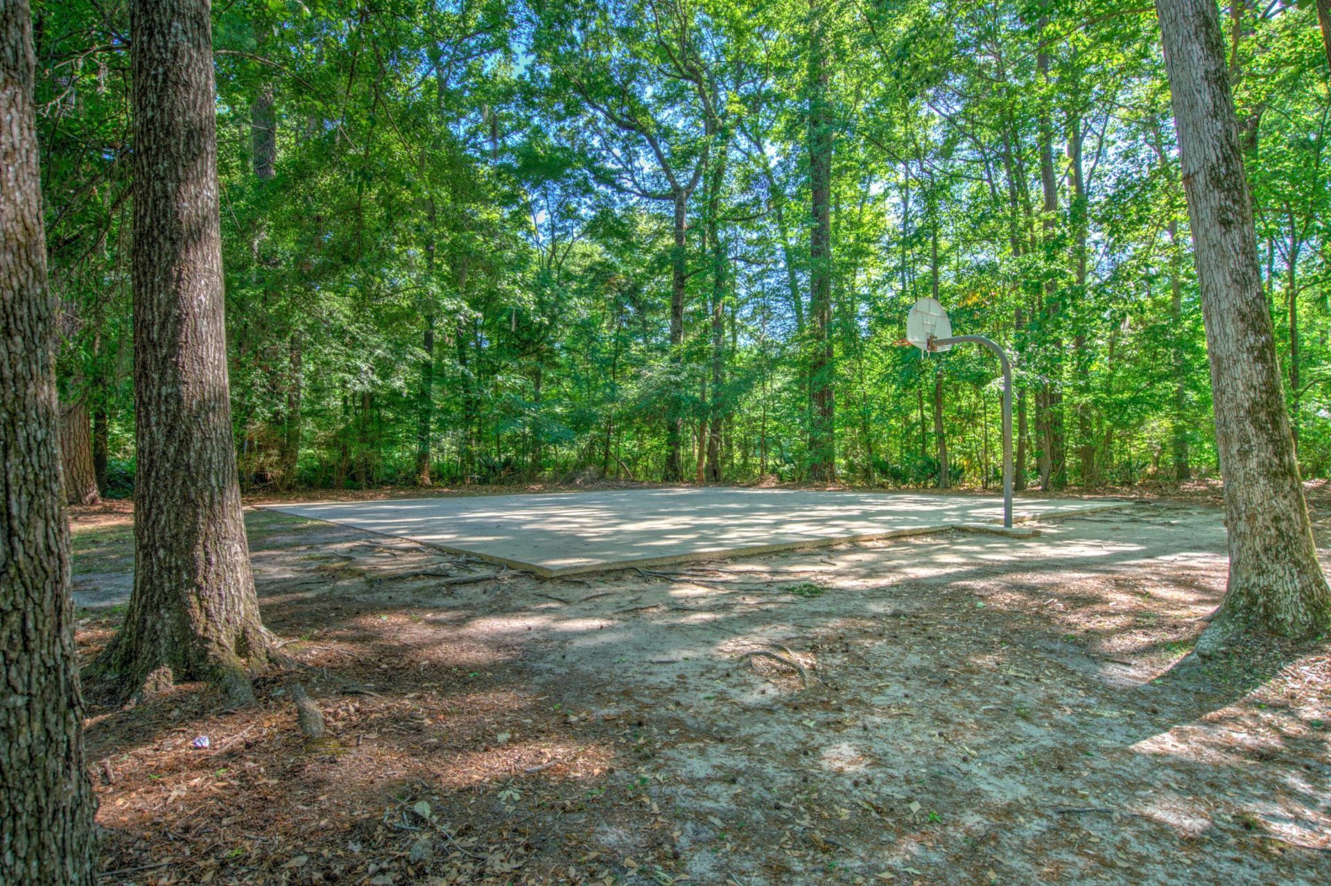 105 Wainwright Manor Photo 49