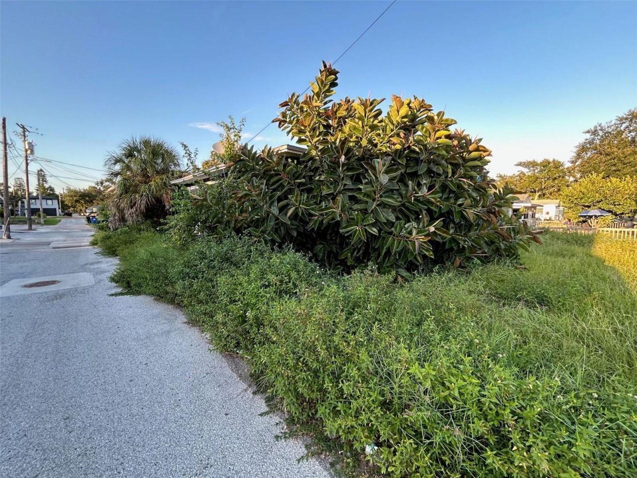 877 22nd Avenue S, Saint Petersburg, FL 33705 Photo