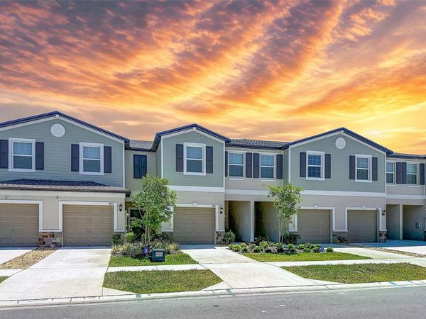 2671 BUTTERCUP LUCINE LANE , RUSKIN, FL 33570