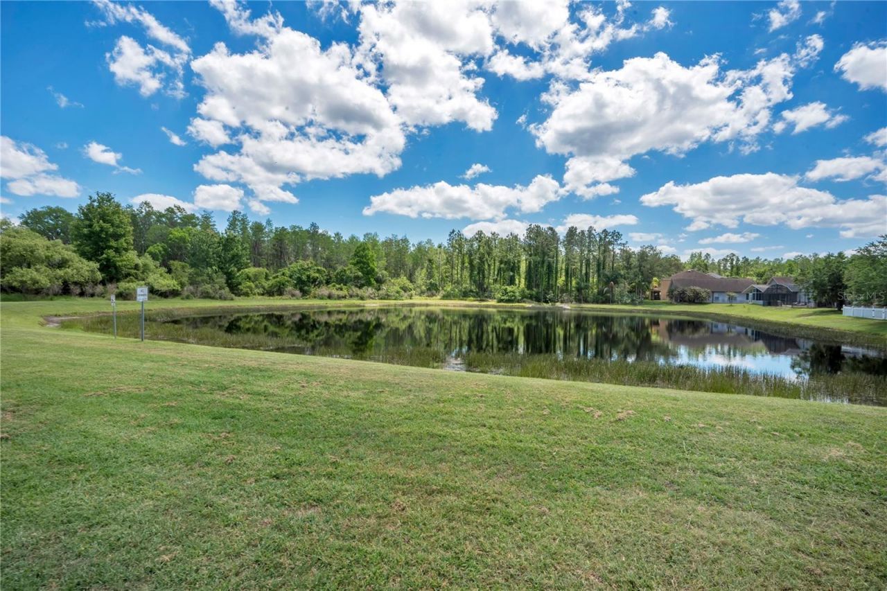 1143 Willow Branch Drive, Orlando, FL 32828 Photo