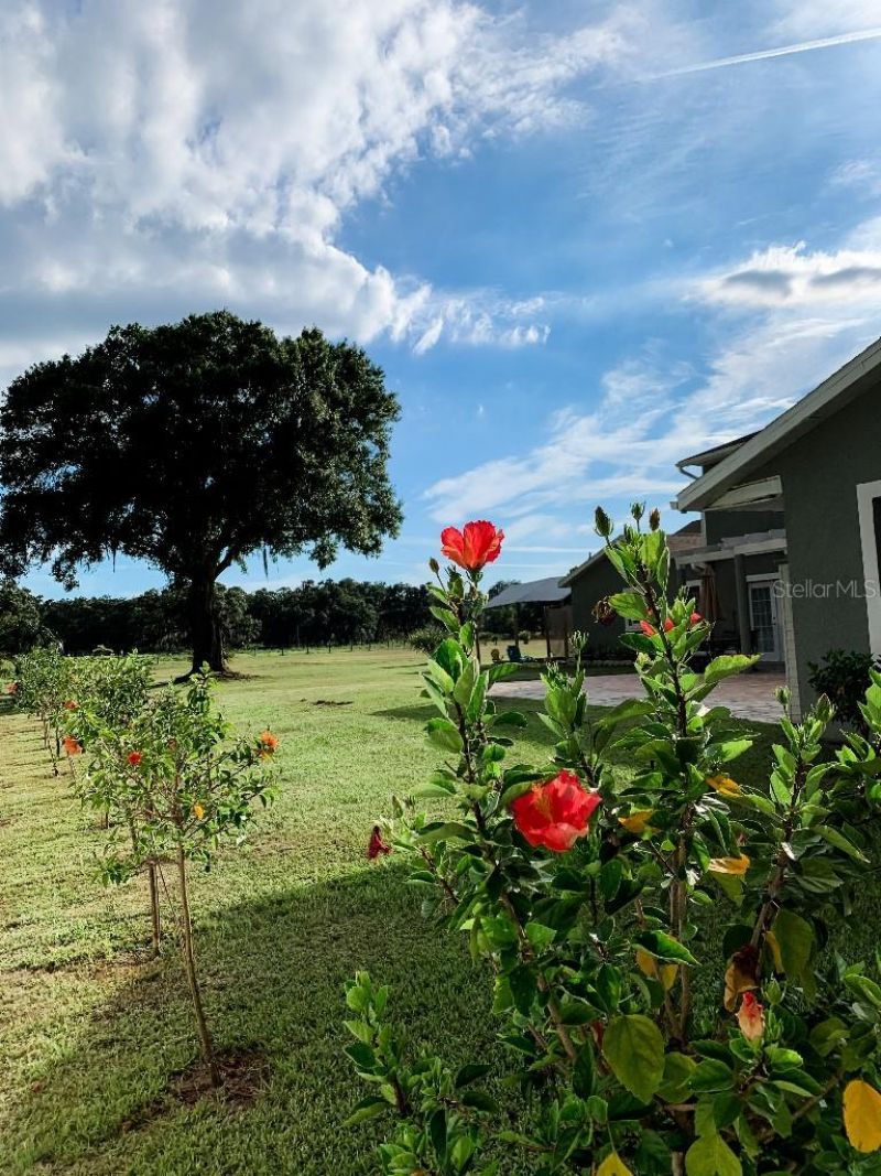 13112 Balm Boyette Road, Riverview, FL 33579 Photo