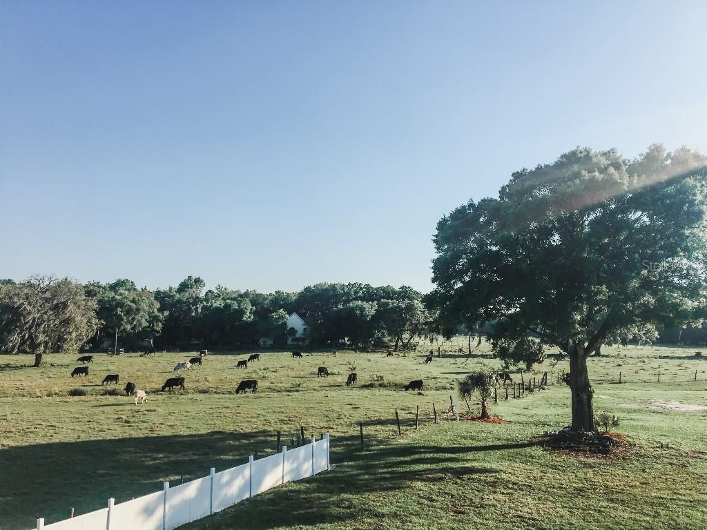 13112 Balm Boyette Road, Riverview, FL 33579 Photo