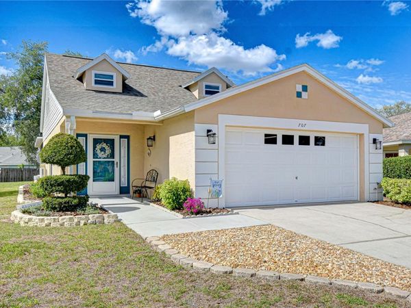 707 ORCHARD ISLE COURT , VALRICO, FL 33594