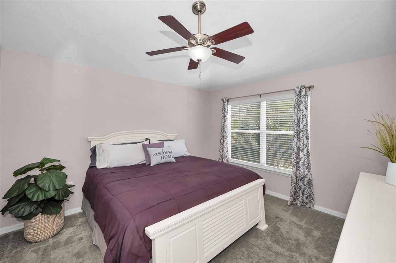 8527 Shallow Creek Court, New Port Richey, FL 34653 Photo