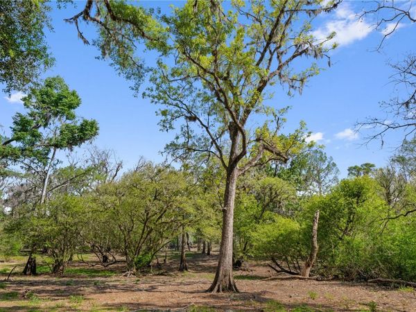 CROSS CITY, FL 32628