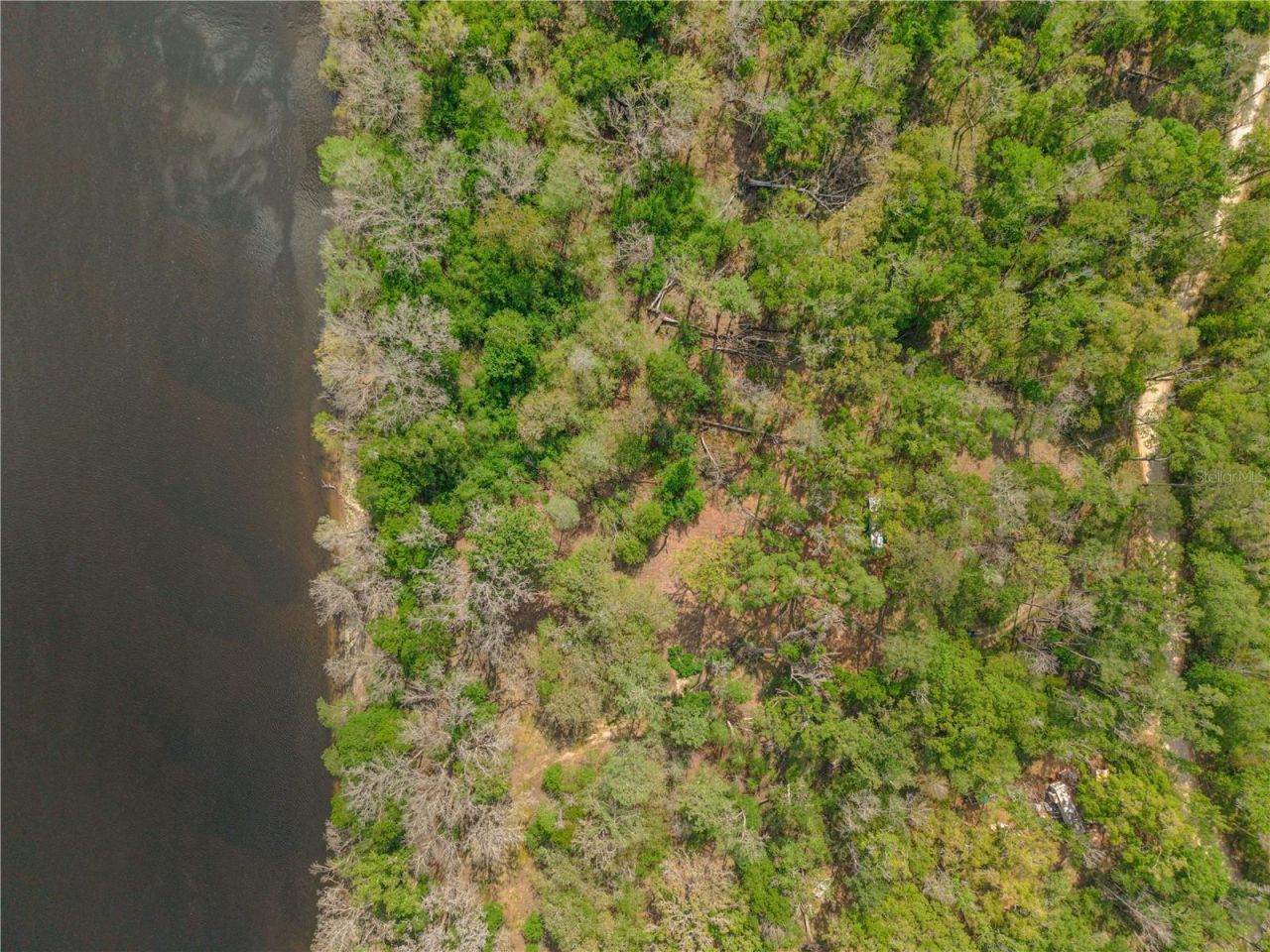 Please Call For Address, Cross City, FL 32628 Photo