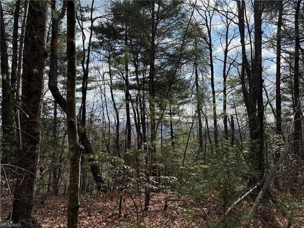 Lots 51 & 52A Staghorn Road , Purlear, NC 28665