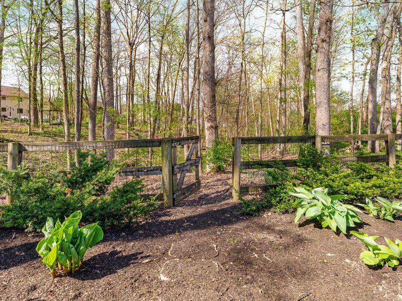 5141 Springfield Court, Westerville, OH 43081 Photo 46