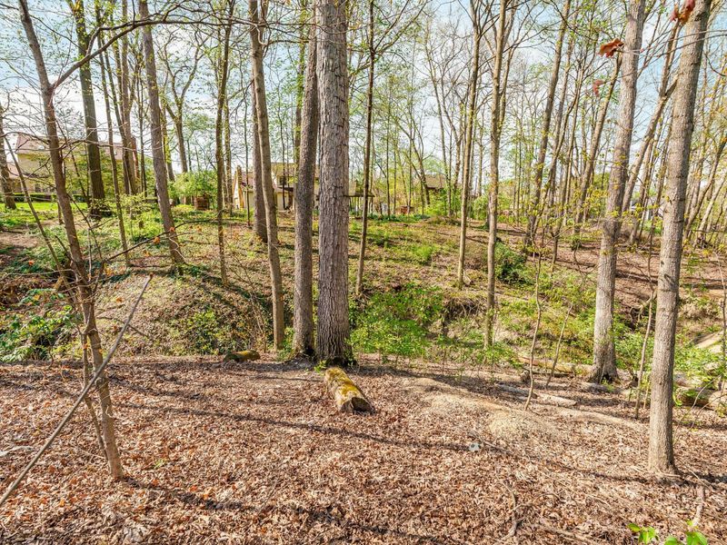 5141 Springfield Court, Westerville, OH 43081 Photo 47