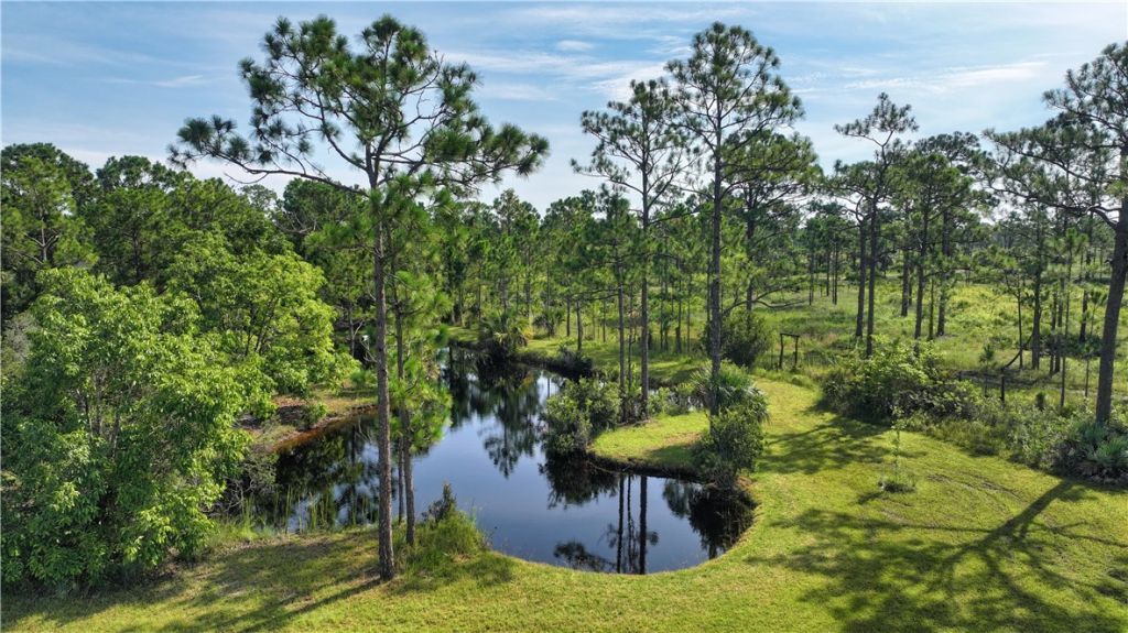 12050 138th Avenue, Fellsmere, FL 32948 Photo