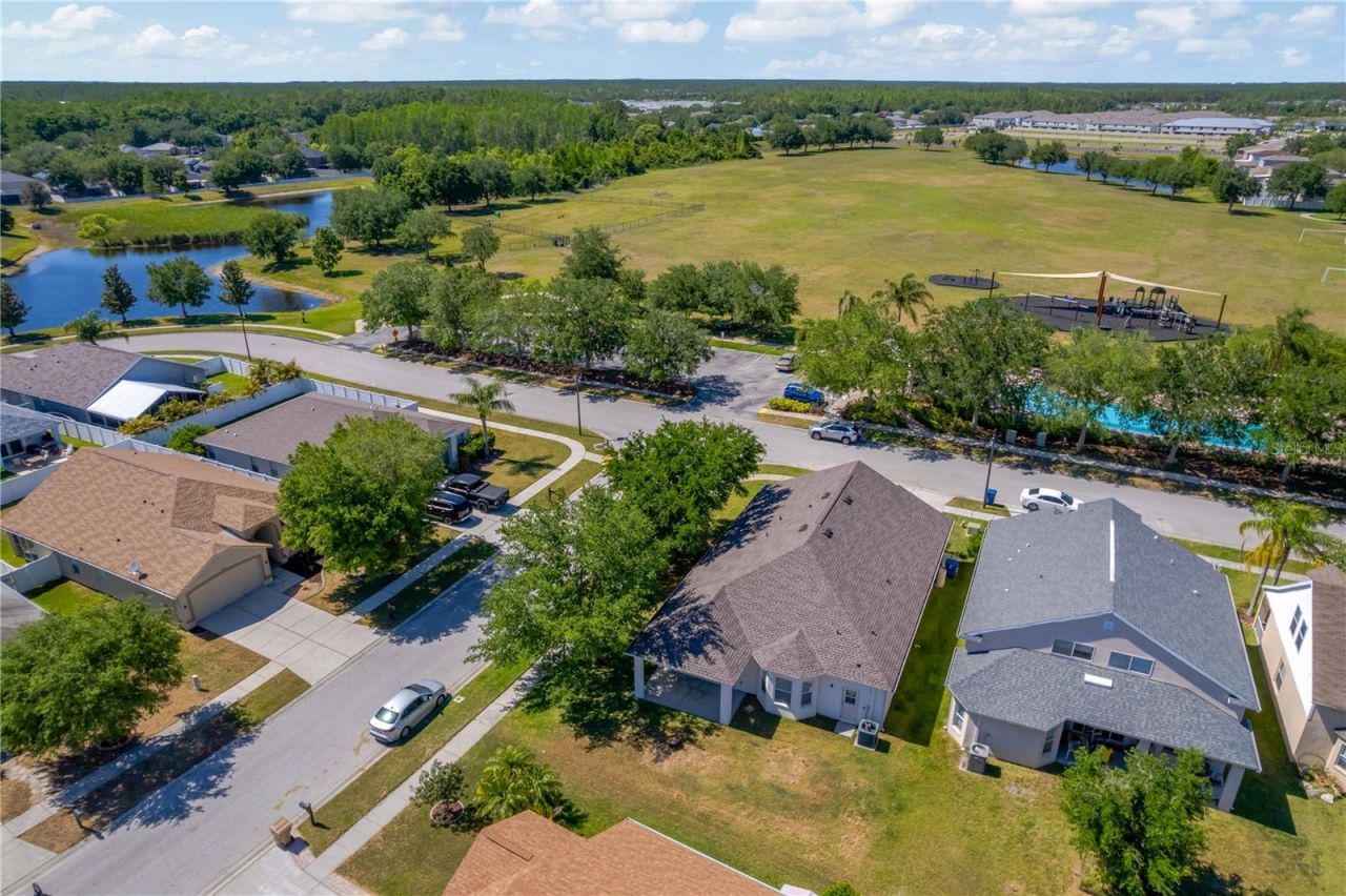 3415 Clover Blossom Circle , Land O Lakes, FL 34638 Photo