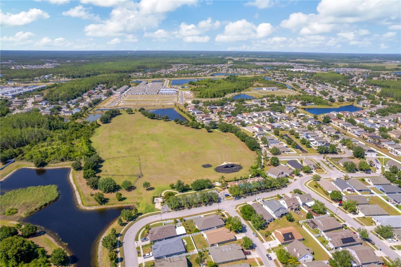 3415 Clover Blossom Circle , Land O Lakes, FL 34638 Photo