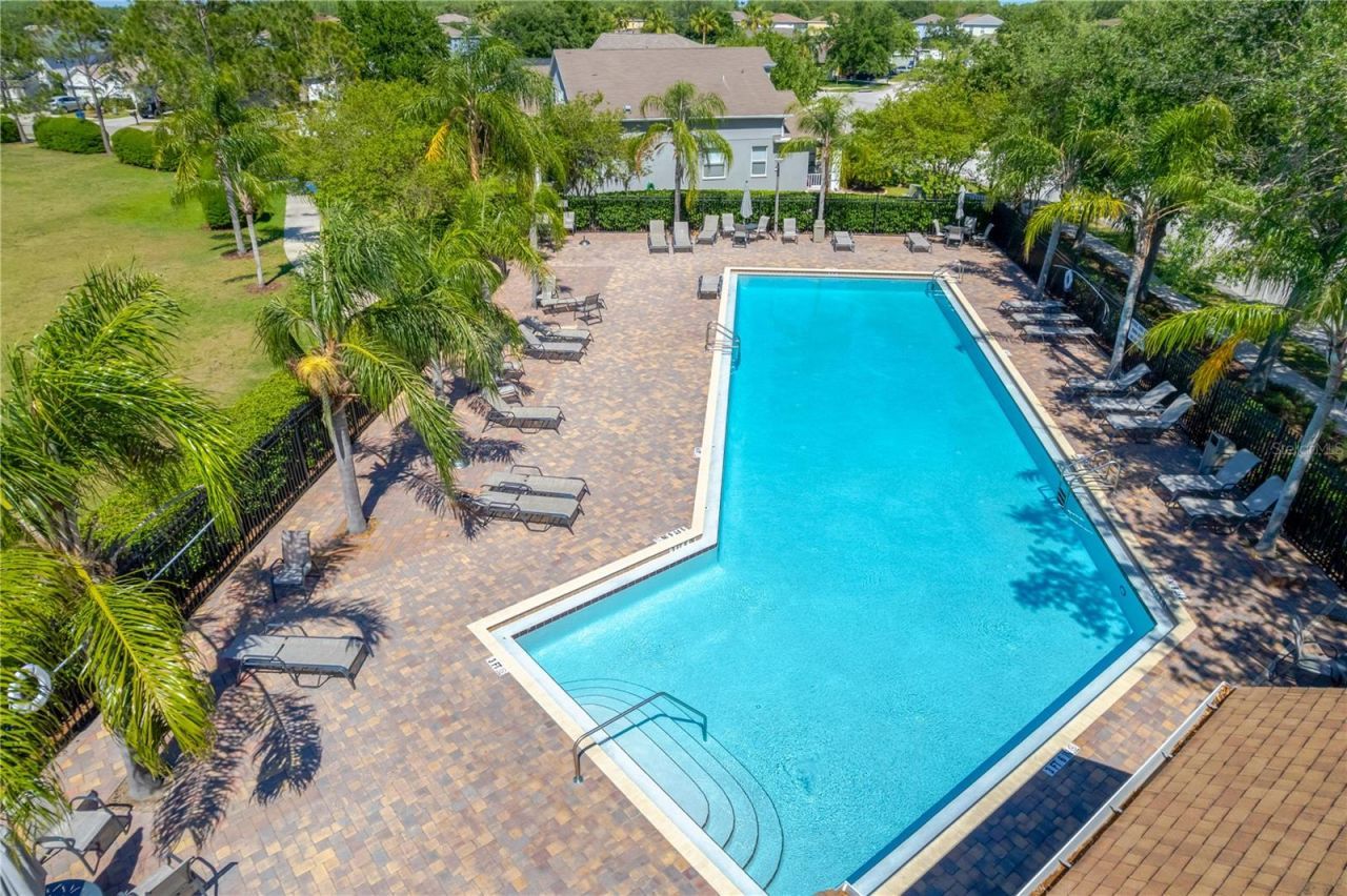 3415 Clover Blossom Circle , Land O Lakes, FL 34638 Photo