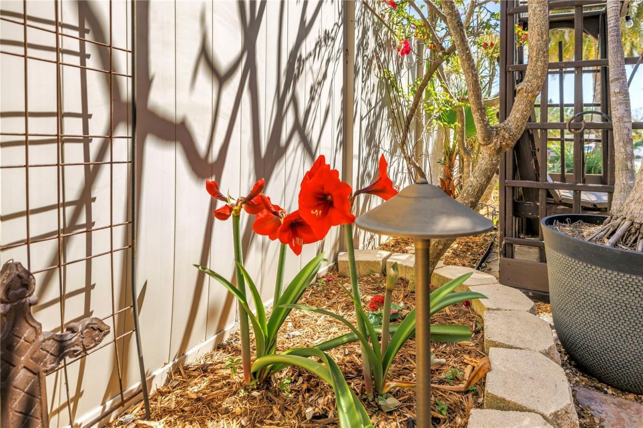 3945 Poinsettia Drive, Saint Pete Beach, FL 33706 Photo