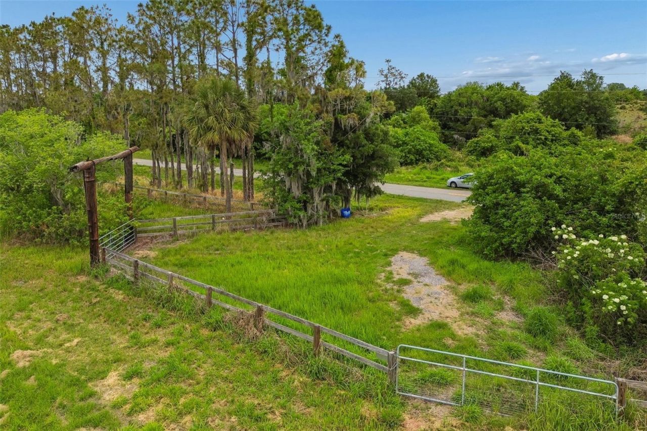 1980 Old Brewster Road , Fort Meade, FL 33841 Photo