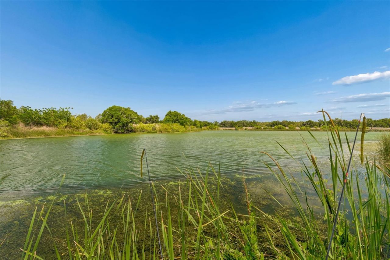 1980 Old Brewster Road , Fort Meade, FL 33841 Photo