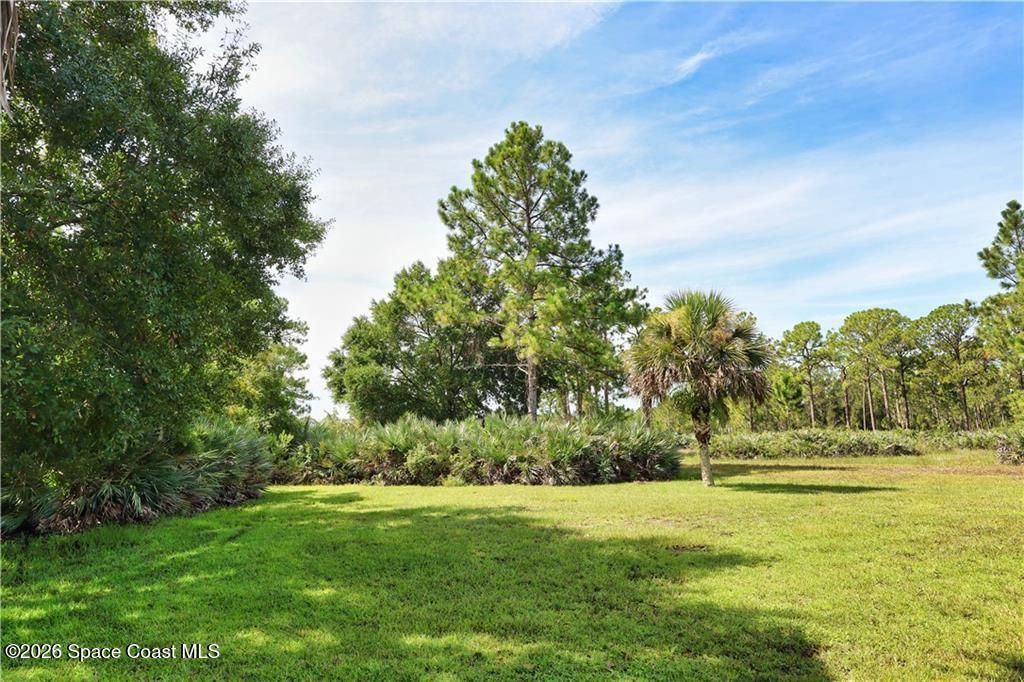 12050 138th Avenue, Fellsmere, FL 32948 Photo