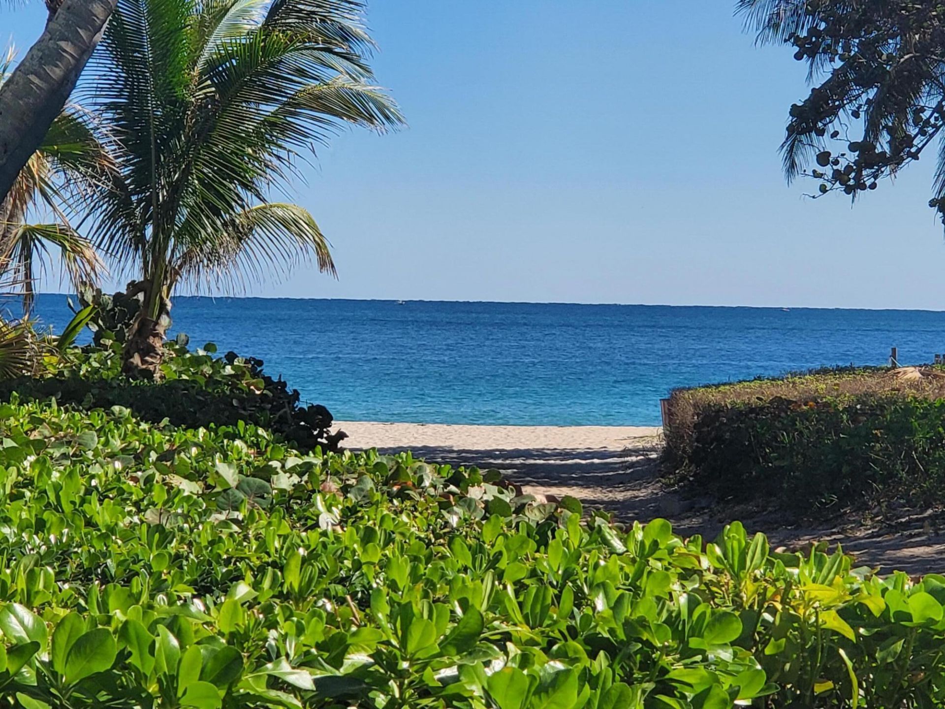 3020 NE 32nd Avenue, Unit Ph1, Fort Lauderdale, FL 33308 Photo
