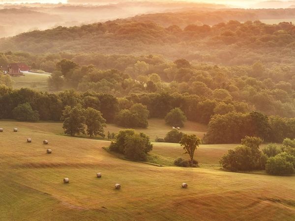 9702 E State Highway 9 Route, Ellisville, IL 61433