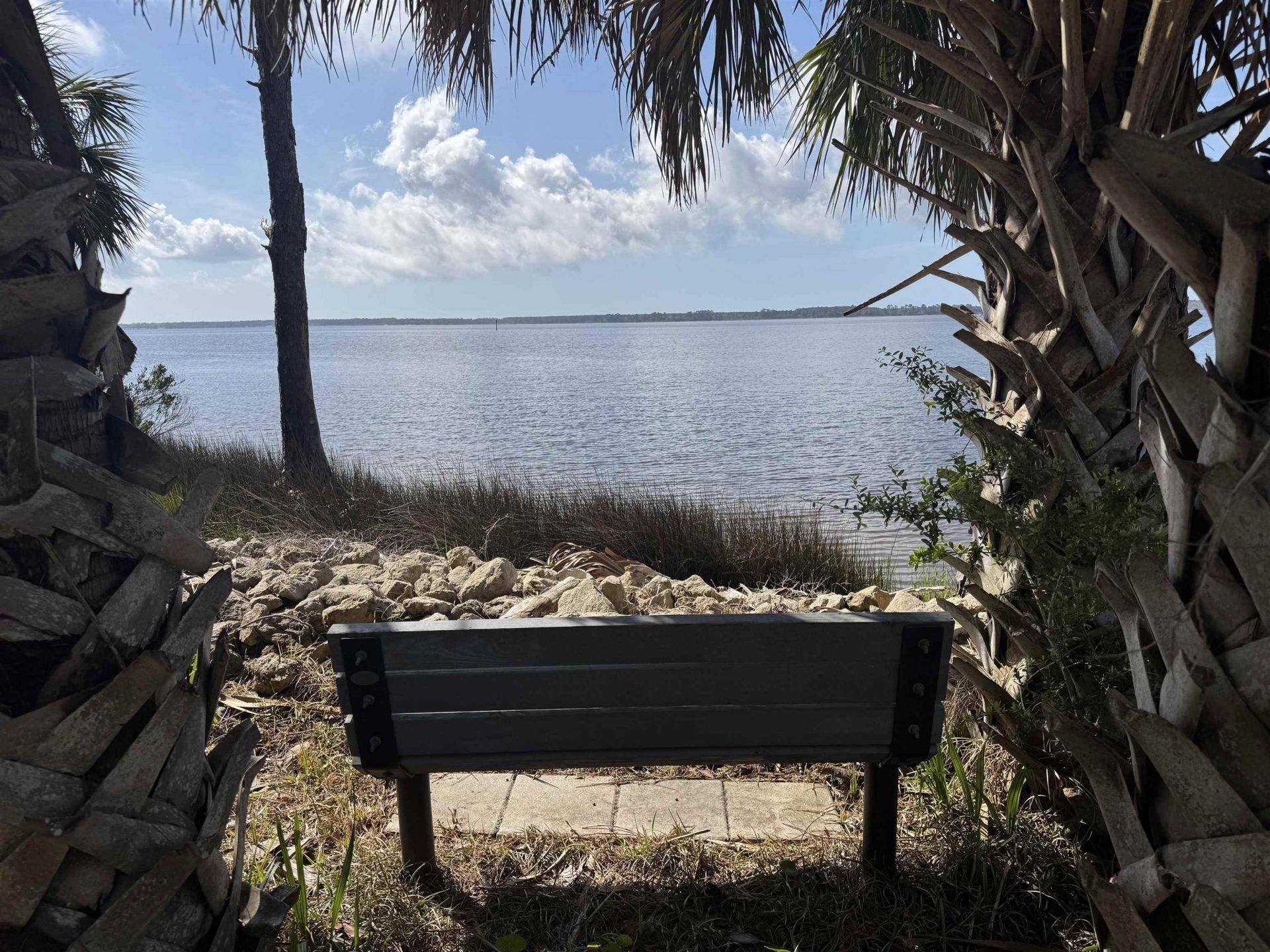 88 Driftwood Drive, Panacea, FL 32346 Photo