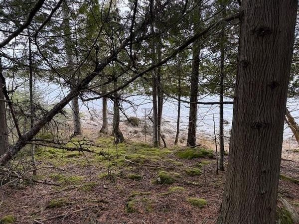 0 E Mckay Bay TRL, Cedarville, MI 49719