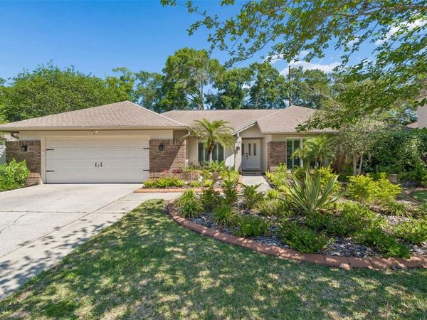 3319 CHEVIOT DRIVE, TAMPA, FL 33618