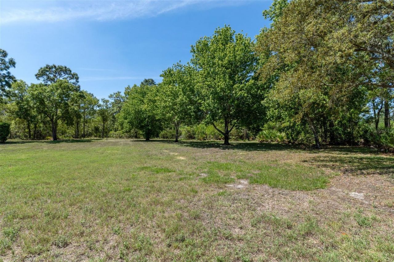 3975 N Grayhawk Loop, Lecanto, FL 34461 Photo