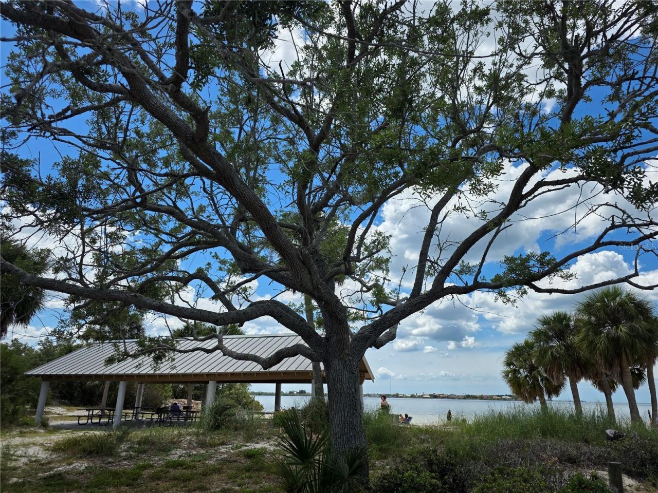 4366 Summersun Drive, Unit 4366, New Port Richey, FL 34652 Photo