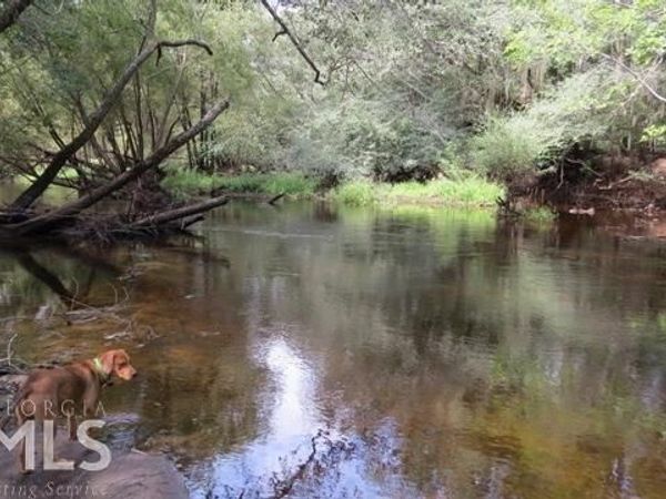 0 Area Line Road, Claxton, GA 30417