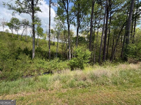 238 Lecroy Drive, Ellijay, GA 30540