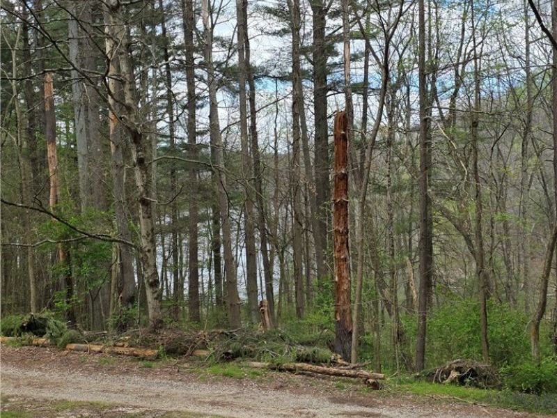 7374 Lakeshore Drive, Carrollton, OH 44615 Photo 17