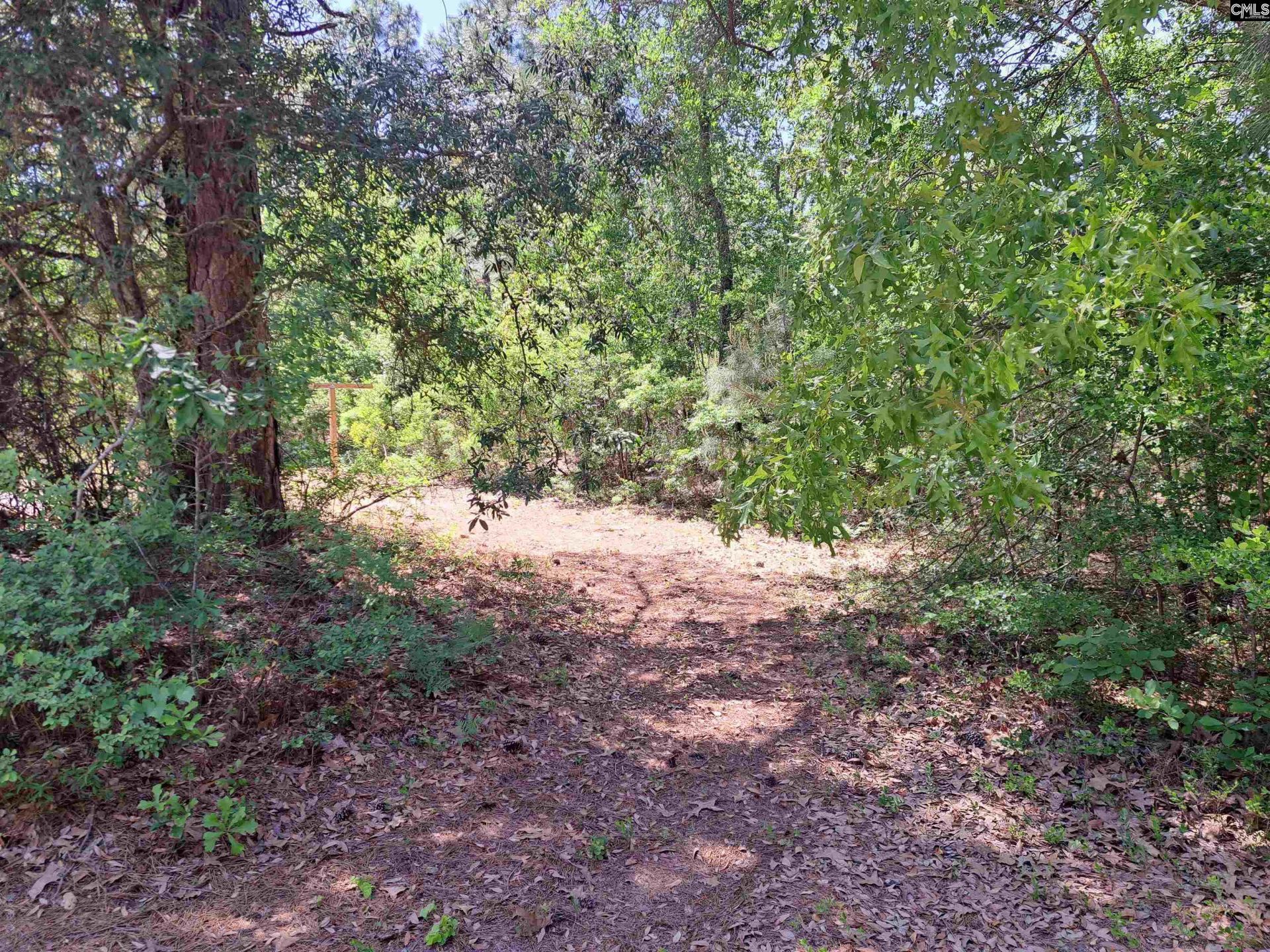 270 Migrant Camp Road  Photo 24